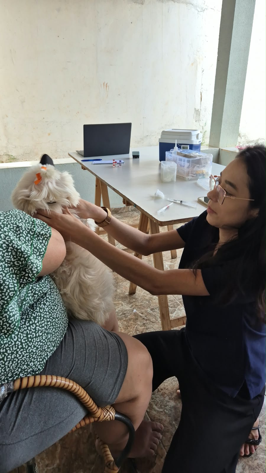 Registro real de atendimento veterinário domiciliar 1 da Dra. Adryele