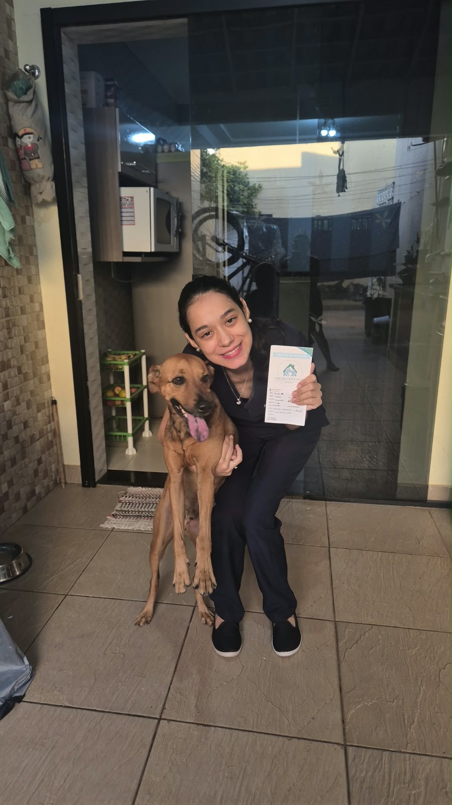 Registro real de atendimento veterinário domiciliar 2 da Dra. Adryele